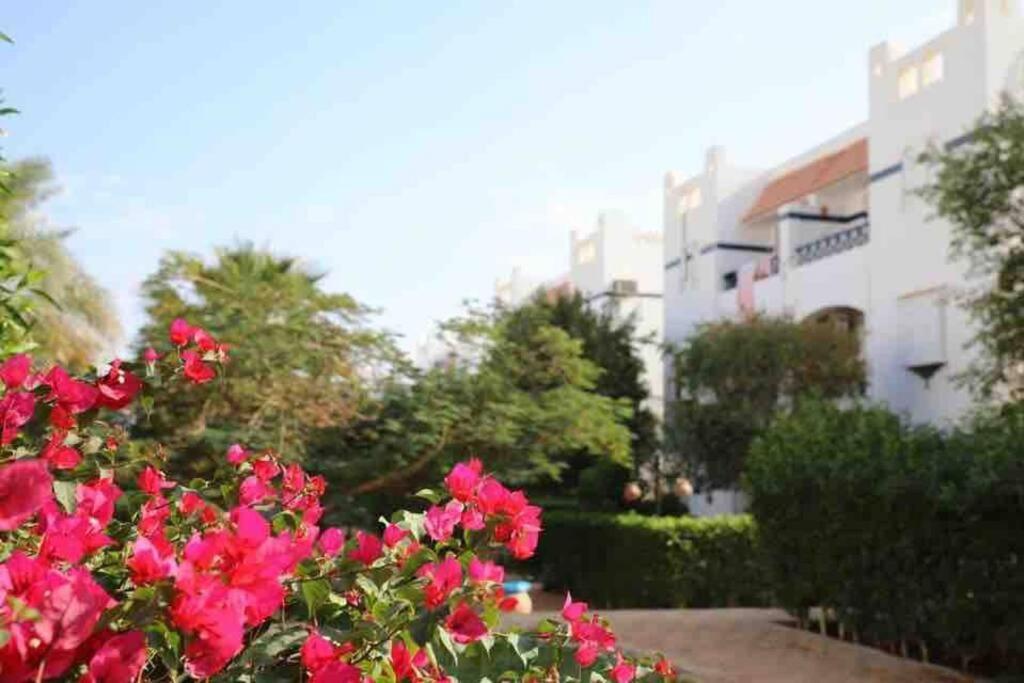 Riviera Resort Apartment - Pool View & Wifi Charm el-Cheikh Extérieur photo