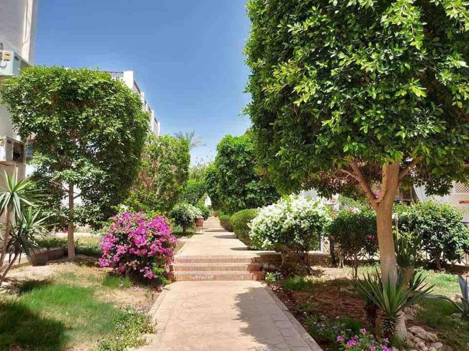 Riviera Resort Apartment - Pool View & Wifi Charm el-Cheikh Extérieur photo